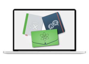 Subscription (1 month)