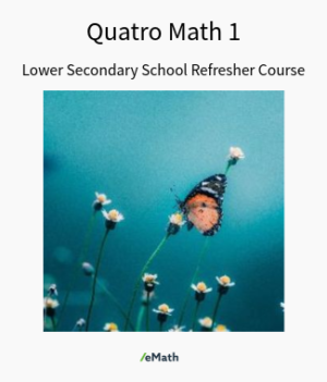 Quatro Math 1